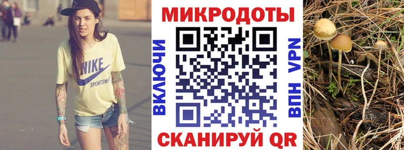 Псилоцибиновые грибы прущие грибы  Волгодонск 